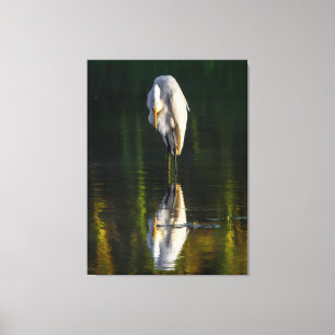 Peaceful Great White Egret with Reflection Canvas Print