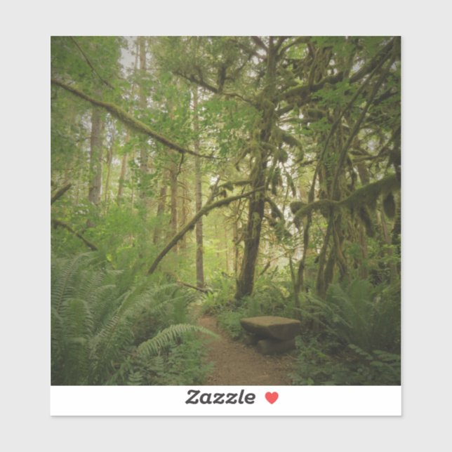 Peaceful Green Forest Trail in Washington (Sheet)