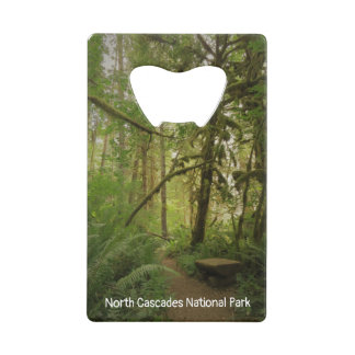Peaceful Green Forest Trail in Washington Credit C