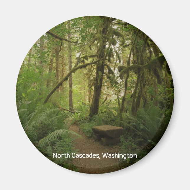Peaceful Green Forest Trail in Washington Magnet (Front)