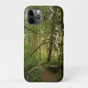 Peaceful Green Forest Trail Washington iPhone 11 Pro Case