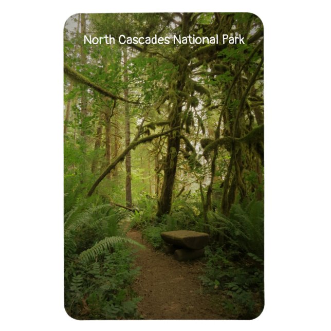 Peaceful Green Forest Trail Washington Magnet (Vertical)