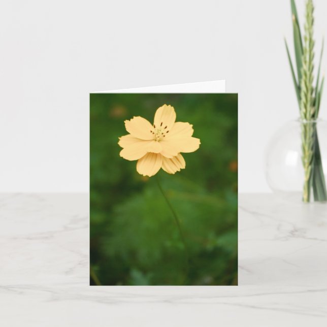 Peaceful Harmony Card (Front)