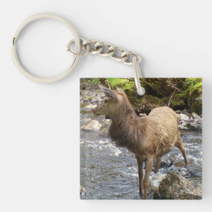 Peaceful Highland Young Red Deer Stag Gentle  Key Ring
