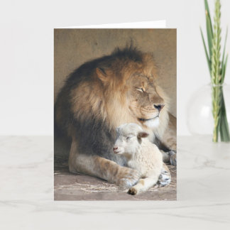 Peaceful holidays holiday card
