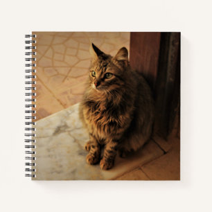 Peaceful Kitty Notebook