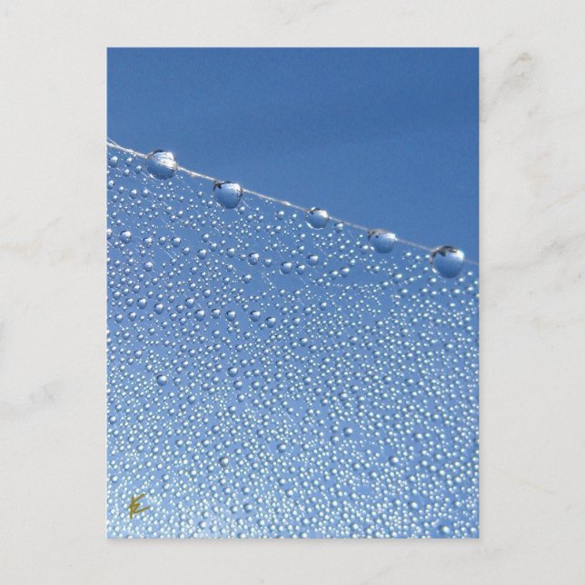 Peaceful, Meditative, Blue Dew Drop Postcard (Front)