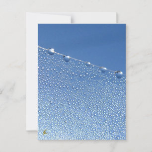 Peaceful, Meditative, Blue Dew Drop Postcard