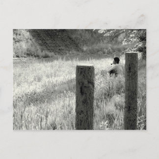 Peaceful Moment Postcard