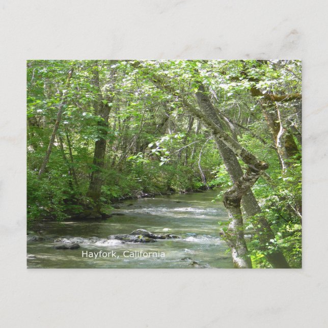 Peaceful moments... postcard (Front)
