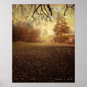 Peaceful Morning Poster Print