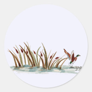 Peaceful Nature Mallard Duck Scene   Classic Round Sticker