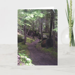 peaceful Oregon trail cards