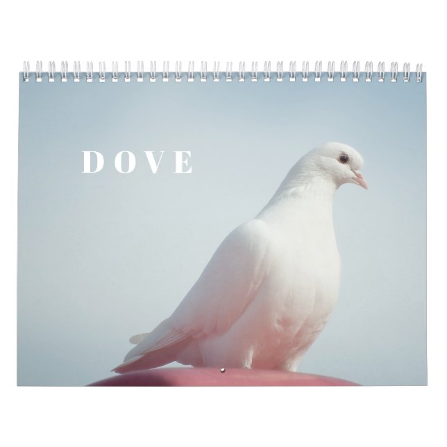Peaceful Pigeons and Elegant Doves Nature Inspired Calendar (Cover)