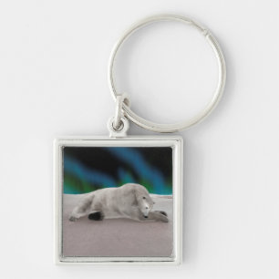 Peaceful Polar Bear Arctic Nature Illustration Key Ring