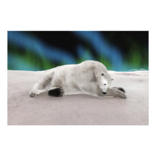Peaceful Polar Bear Arctic Nature Illustration Photo Print