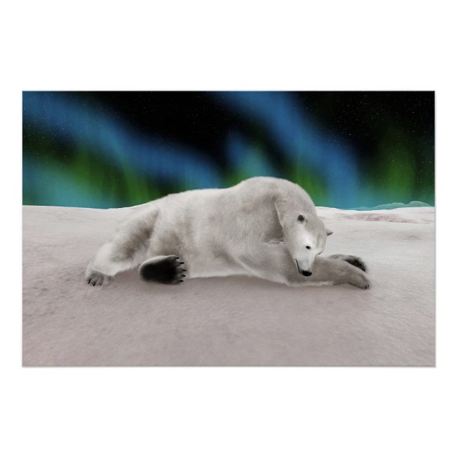 Peaceful Polar Bear Arctic Nature Illustration Poster (Front)