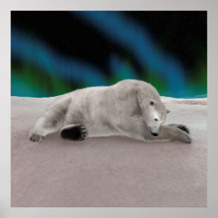 Peaceful Polar Bear Arctic Nature Illustration Poster
