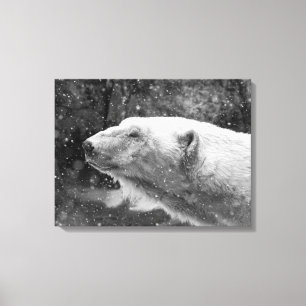 Peaceful Polar Bear Canvas Print