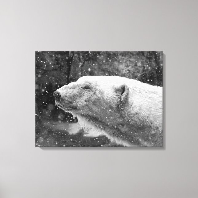Peaceful Polar Bear Canvas Print (Front)