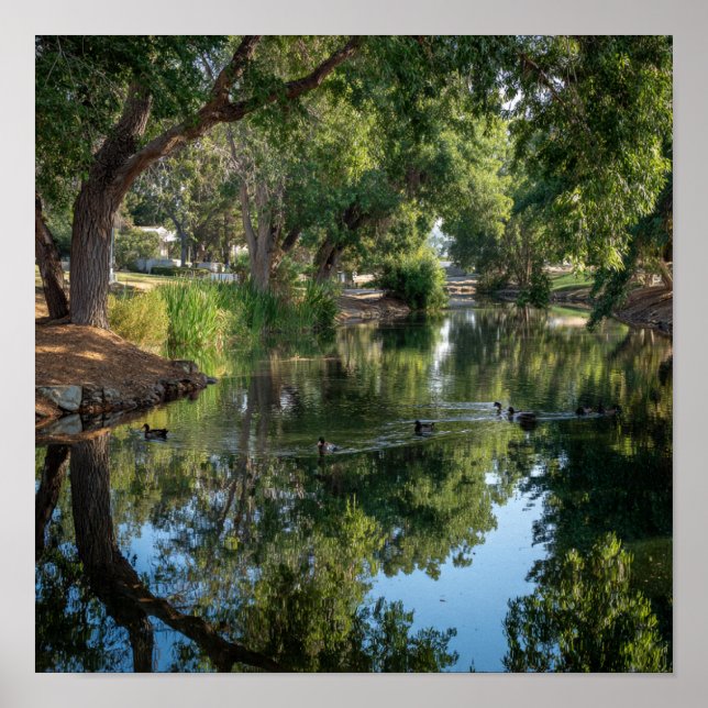 Peaceful Pond Reflections - Nature's Mirror Poster (Front)