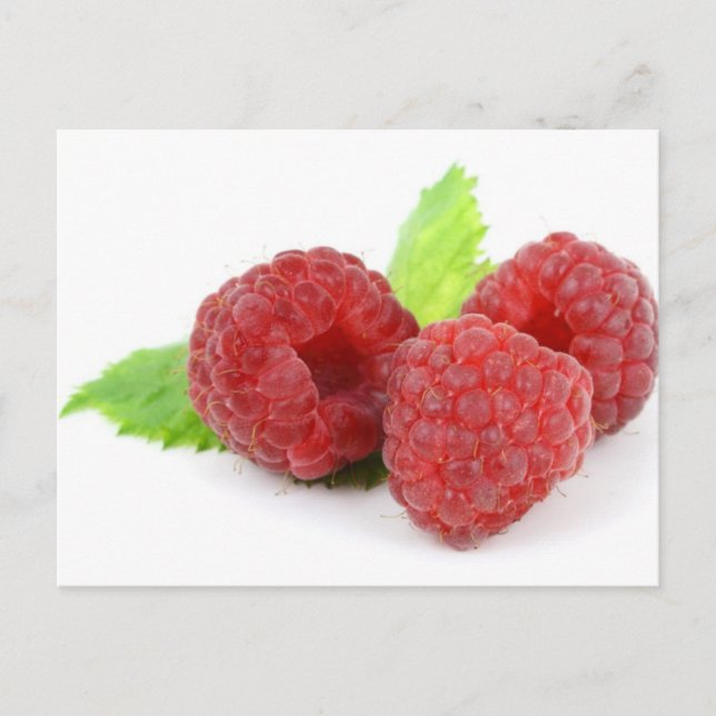 Peaceful Postcard (Front)