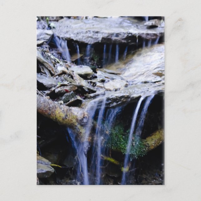 Peaceful Postcard (Front)