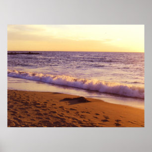 Peaceful_Poster Poster