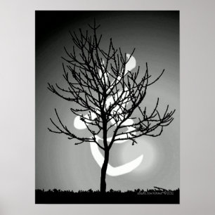 Peaceful Radiance/Tao 道 Harmony (TBA) Poster