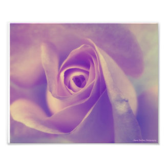 Peaceful Rest Photo Print