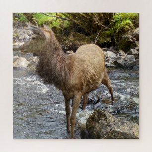 Peaceful River Scene with Young Red Deer Wildlife Jigsaw Puzzle