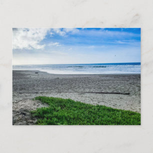 Peaceful Sandy Beach Postcard