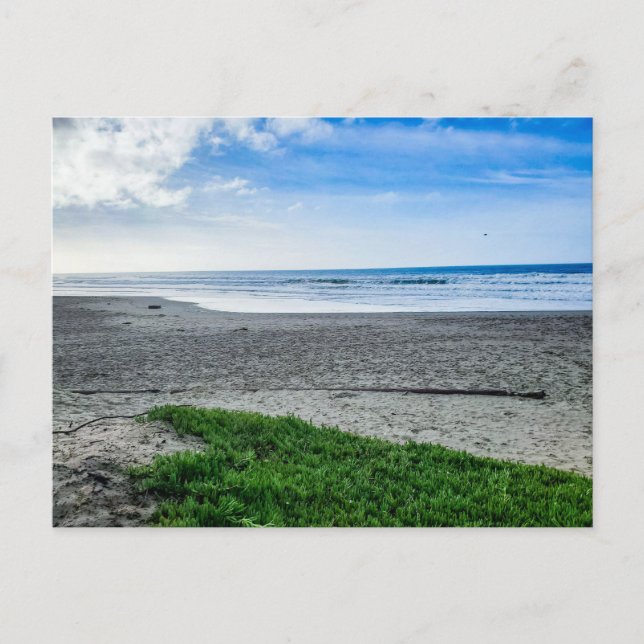 Peaceful Sandy Beach Postcard (Front)