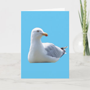 Peaceful Seagull Resting Ocean Bird Sky Blue Card