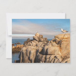 Peaceful Seascape Scenery California  Postcard