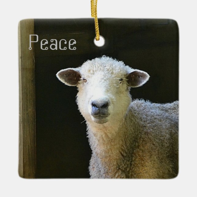 Peaceful Sheep Ceramic Tree Decoration (Front)