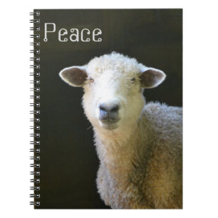 Peaceful Sheep Notebook