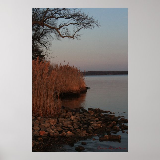 Peaceful Shore Poster (Front)