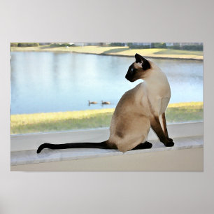 Peaceful Siamese Cat Painting Poster