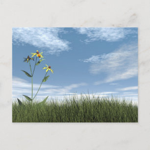 Peaceful stones - 3D render Postcard