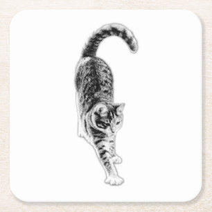 Peaceful Stretch Cat Coaster Set