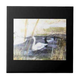 Peaceful Swan . . . Tile