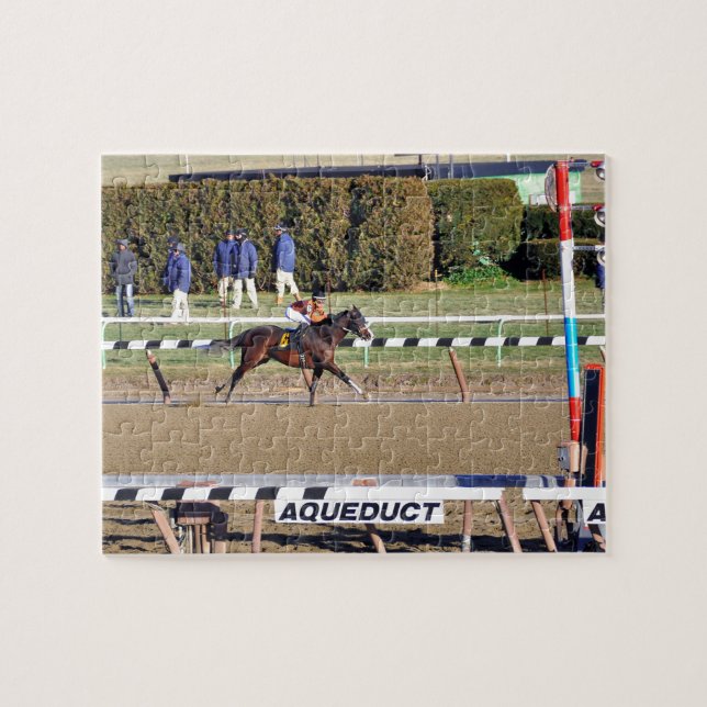 Peaceful Talk Wins on New Year's Day Jigsaw Puzzle (Horizontal)