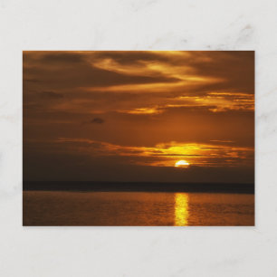 Peaceful Times - Peleliu Postcard