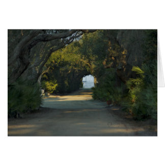 Peaceful trail