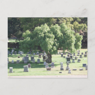 Peaceful Tree Postcard