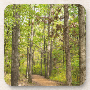 Peaceful Walk Coaster