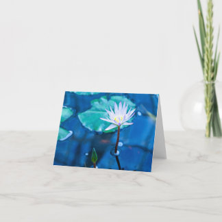Peaceful Water Lily Notecard