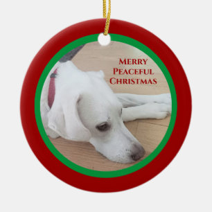 Peaceful White Dog Red Collar Christmas Ceramic Tree Decoration