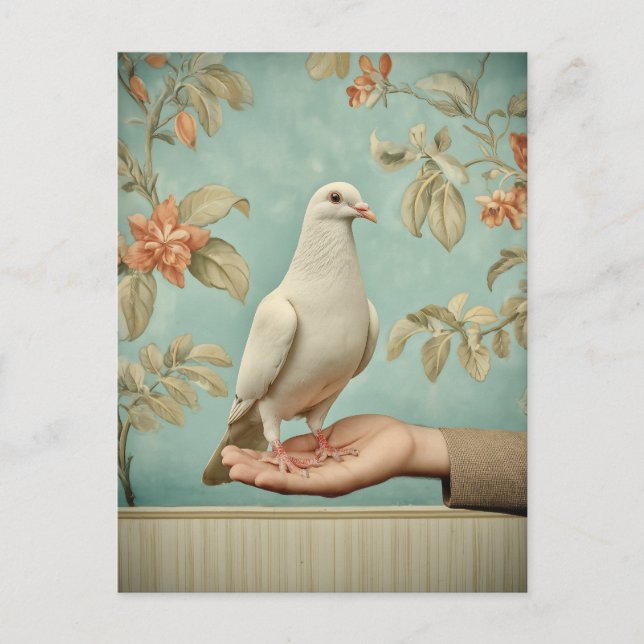 Peaceful White Dove Postcard (Front)
